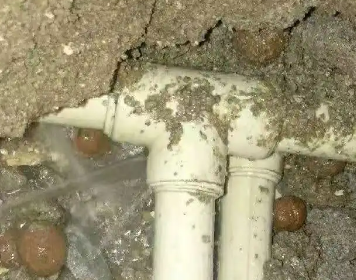 当阳测漏水多少钱