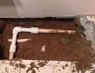 当阳测漏水哪家好