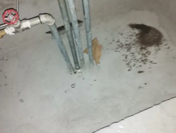 当阳卫生间测漏水价格明细