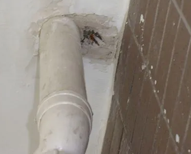 当阳漏水检测哪家好